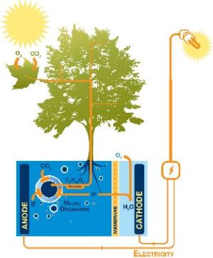 plant-mobiel-opladen